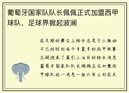 葡萄牙国家队队长佩佩正式加盟西甲球队，足球界掀起波澜
